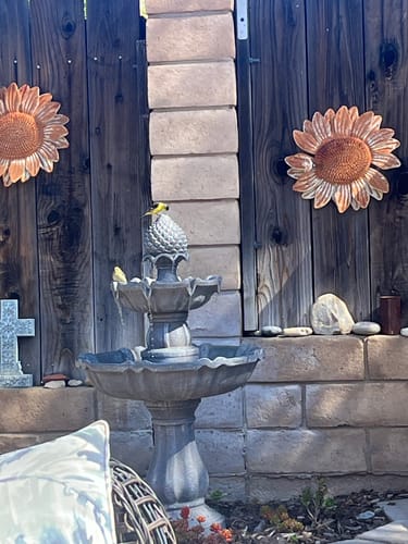 Customer photo review of Calvari 16 Spout Fountain