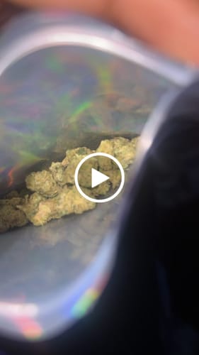 Customer video review of Shipping Protection by Route