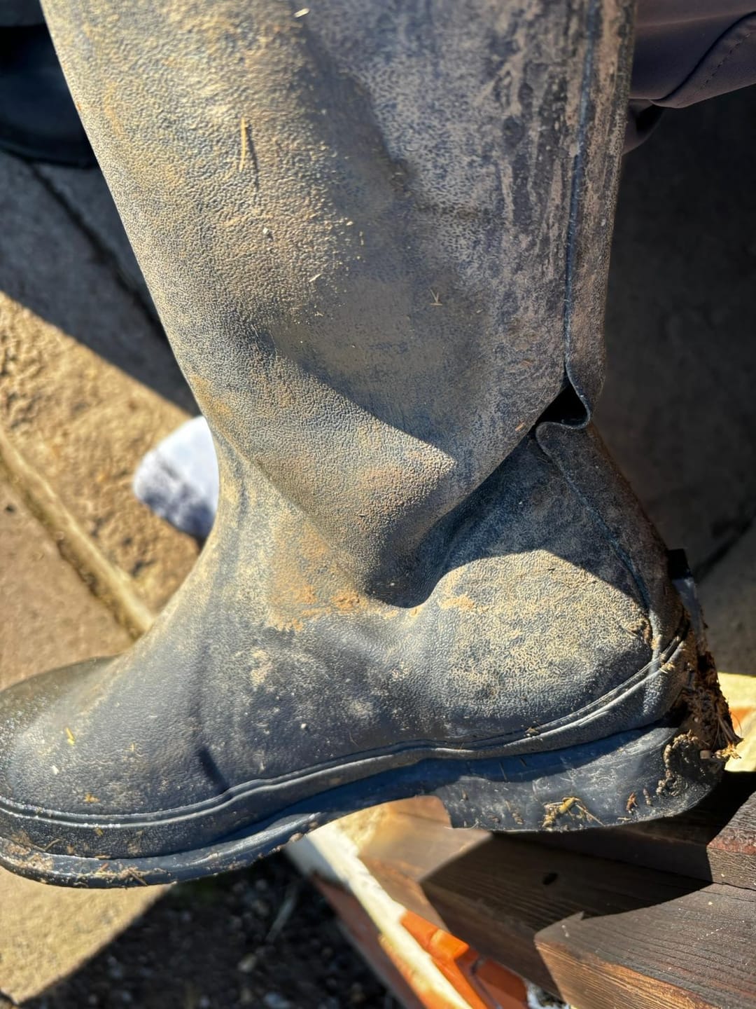 Customer photo review of Unisex Colt Ryder Tall Boots