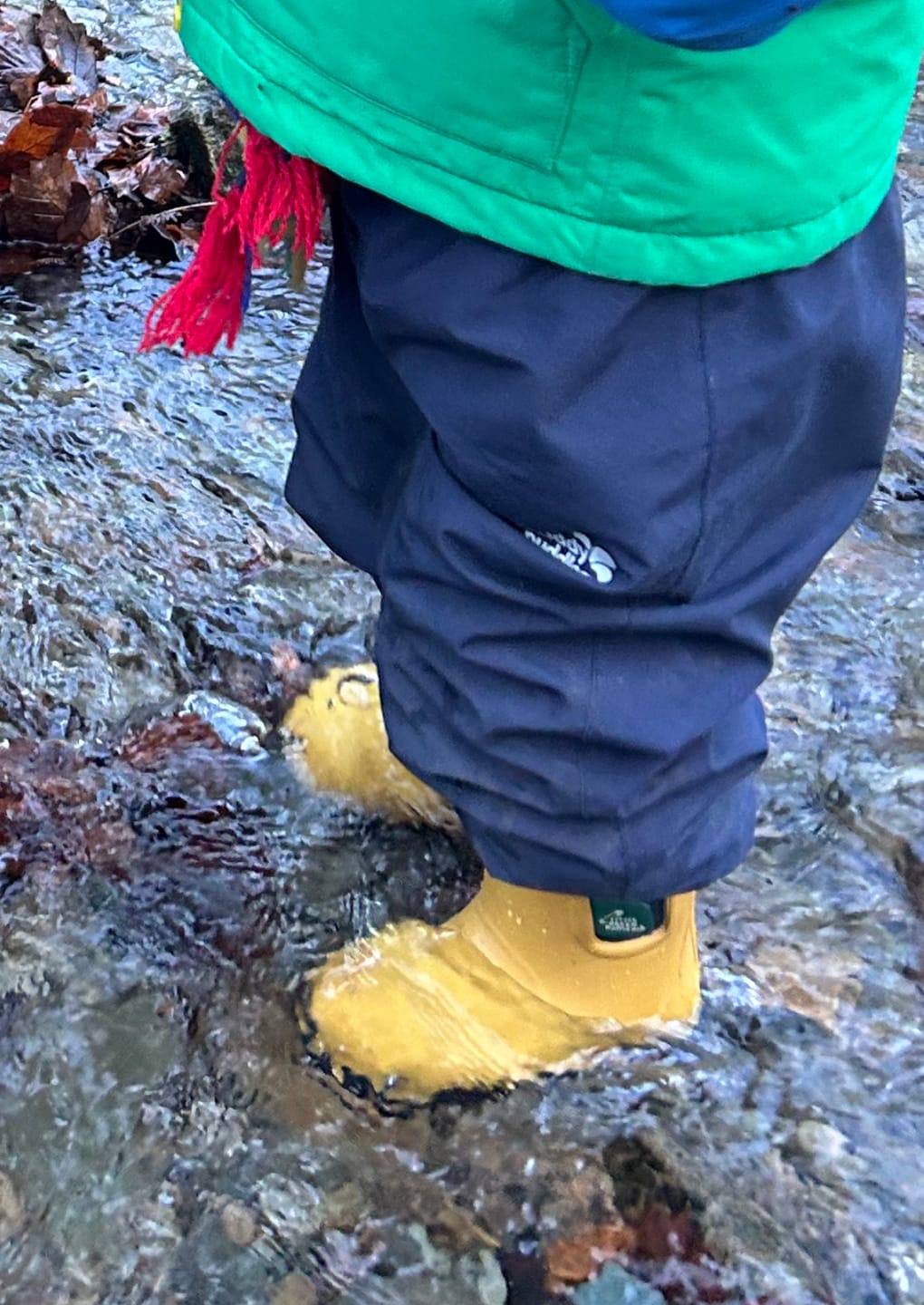 Customer photo review of Gold Lined Ankle Wellington Fair Rubber Natural Waterproof Boots