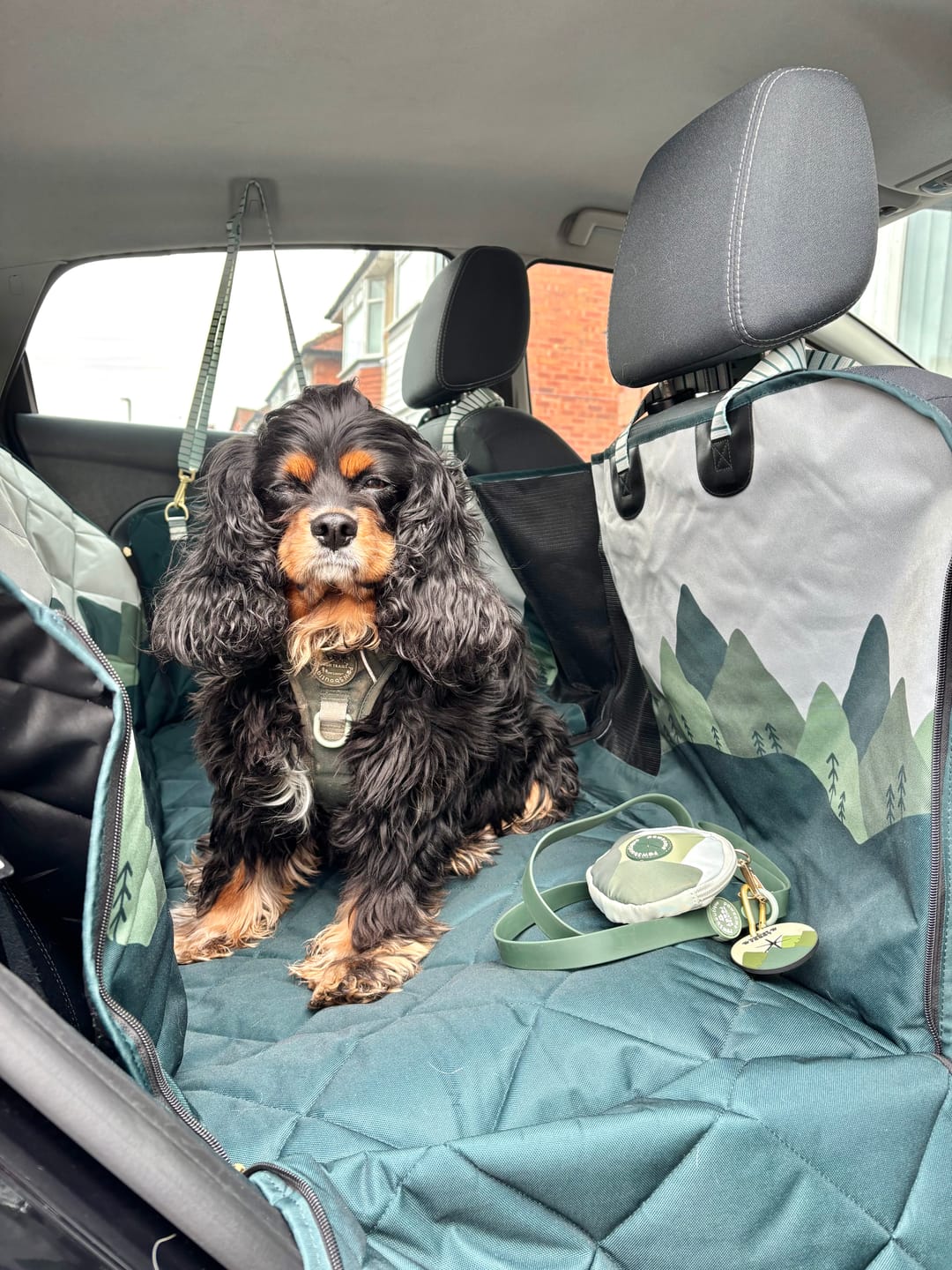 Customer photo review of Car Seat Cover - Walkies Ready® Forest Green