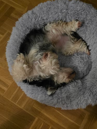 Customer photo review of CalmBed - Motverkar stress & hjälper mot ångest