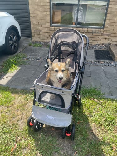 Customer photo review of PaWz Pet Dog Stroller Pram 4 Wheels