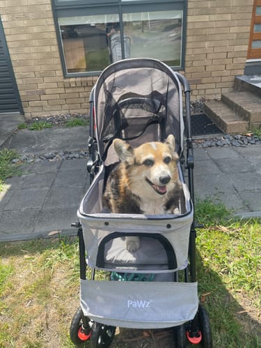 Customer photo review of PaWz Pet Dog Stroller Pram 4 Wheels