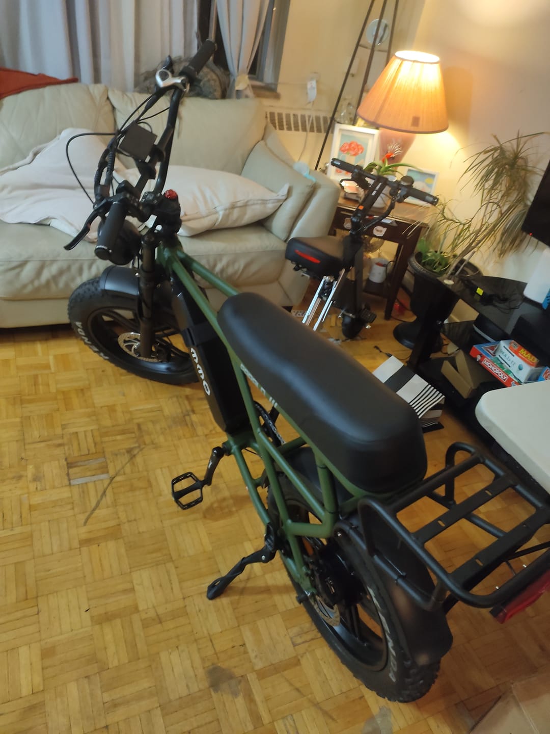 Customer photo review of Paralo Pro