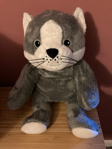 Customer photo review of Lotgenootje Kat 2kg