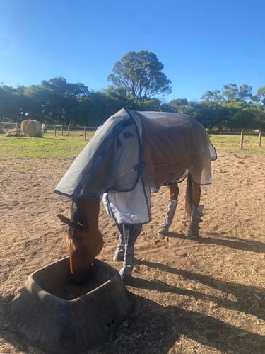 Customer photo review of LE Defender Anti-Insect Fly Rug