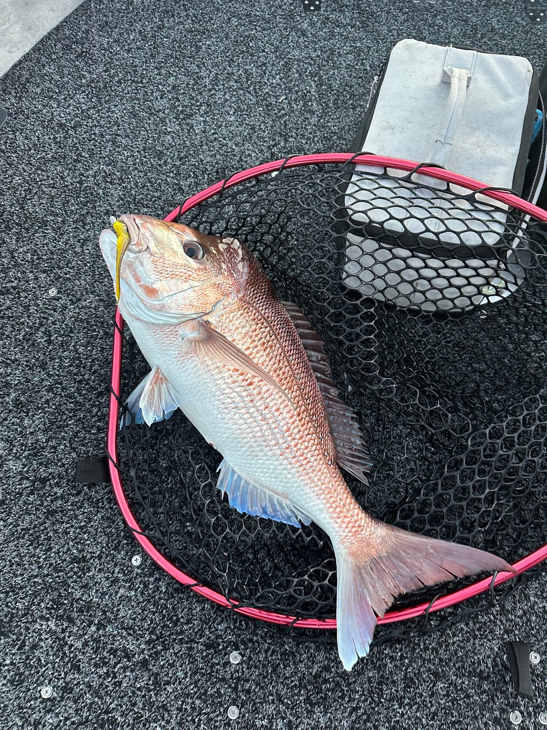 Customer photo review of OFFSHORE LURE SPECIAL