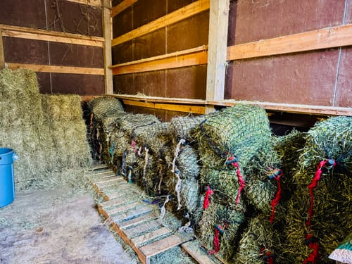 Customer photo review of Hay Chix® Half Bale Net