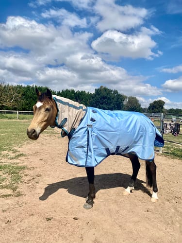 Customer photo review of LE Boxter Turnout 0g