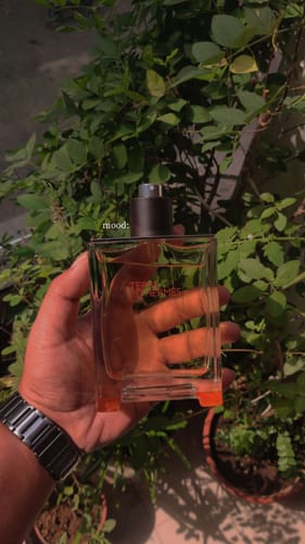 Customer photo review of Hermes Terre D'Hermes Eau De Toilette For Men