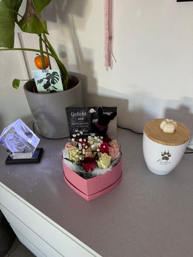 Customer photo review of Hunde Gedenktafel mit Foto & Spruch (UV- & Wetterfest)