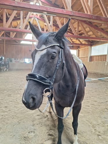 Customer photo review of Trense Sparkle glitzernder Lack weiß oder schwarz unterlegt