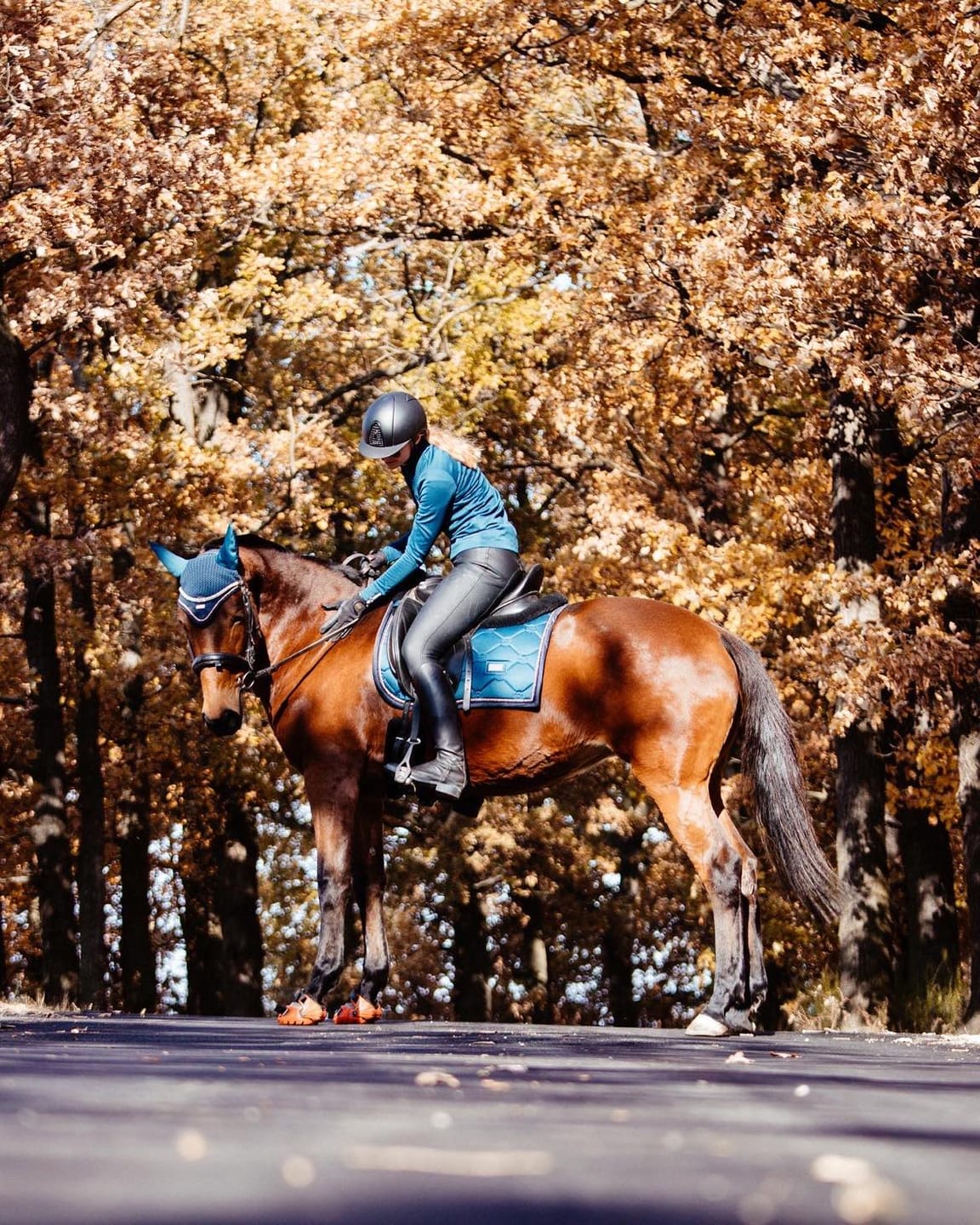 Customer photo review of Renegade® Viper Shield™ Hoof Boots - Cosmic Orange