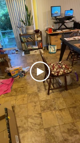 Birute S. review of SPEEDY TAIL 2.0 image 1 out of 1