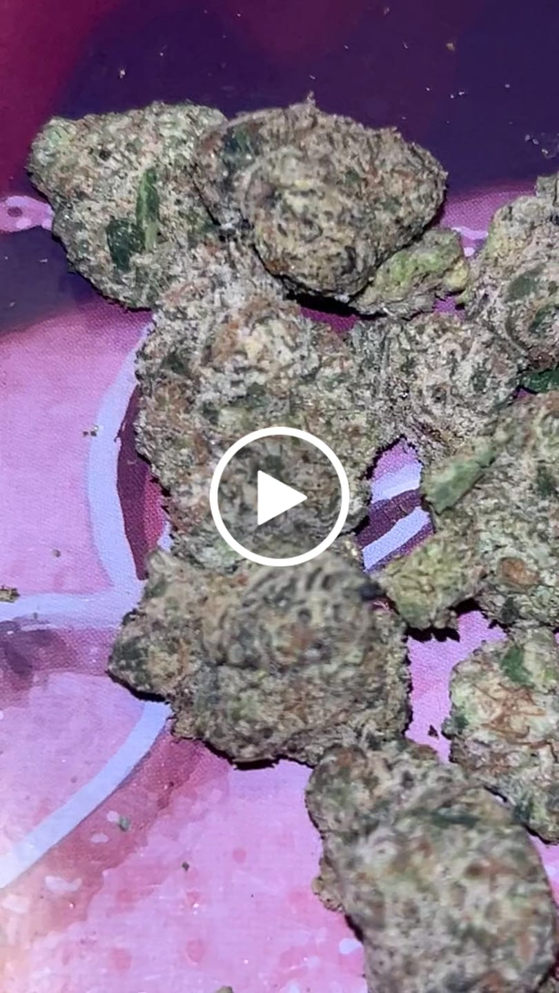 Customer video review of Exotic Smalls
