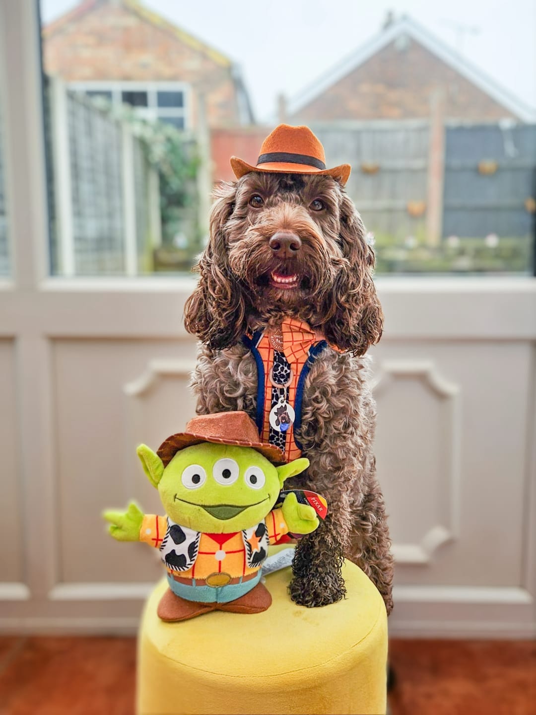 Customer photo review of Disney© Tough Trails™ Harness - Woody
