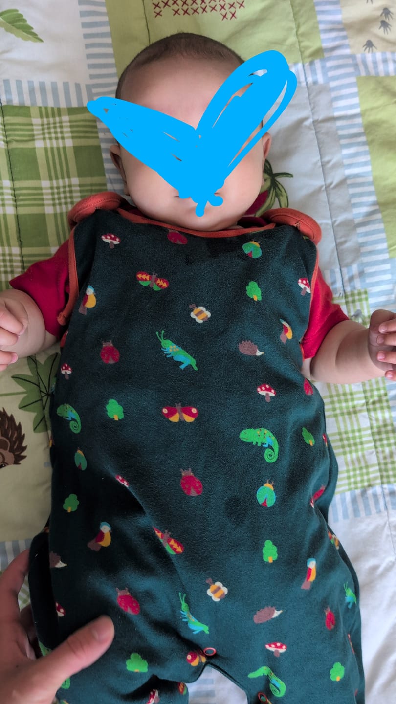 Customer photo review of Little Elephant Applique Short Sleeve T-Shirt