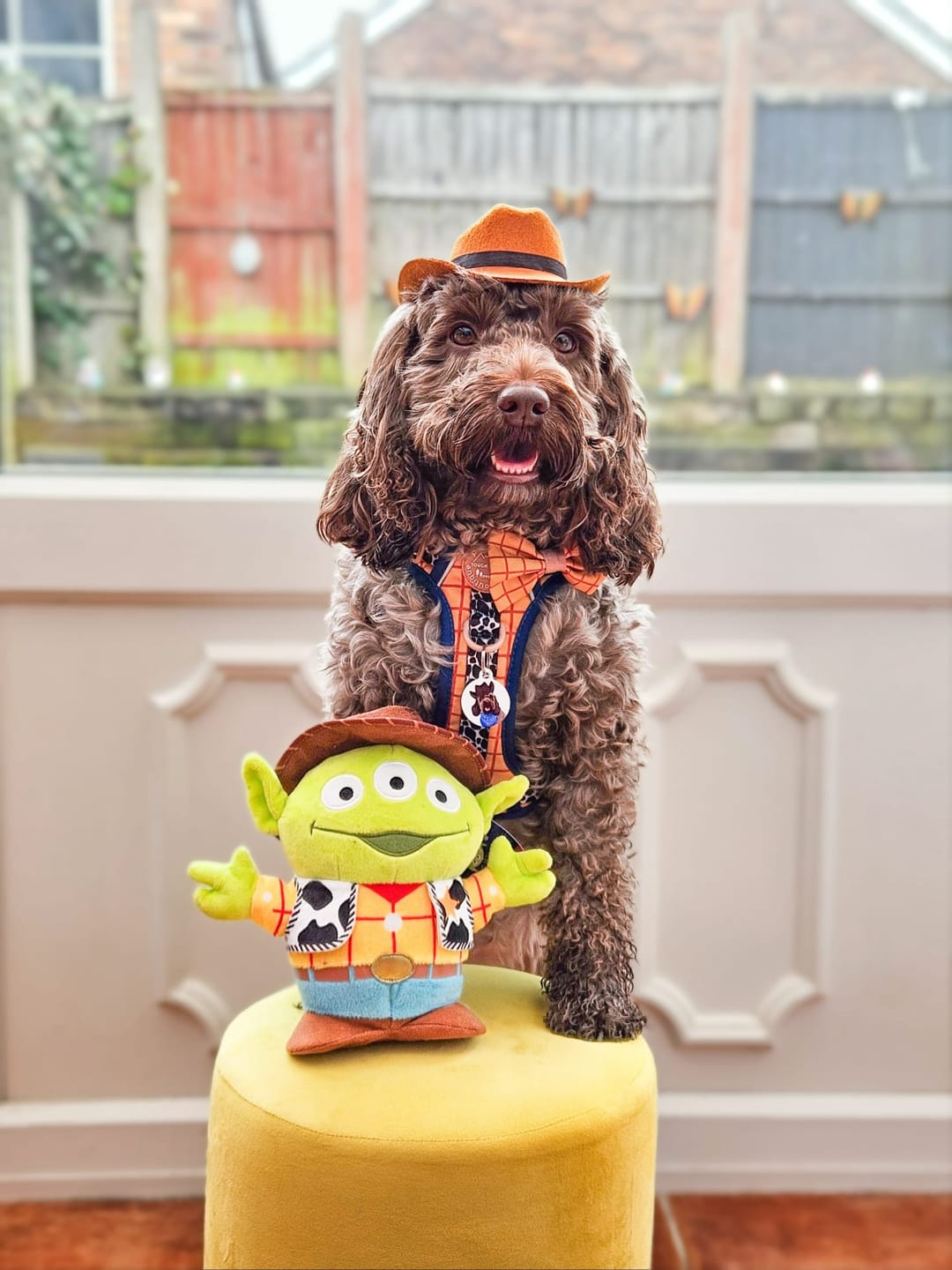 Customer photo review of Disney© Bow Tie - Woody
