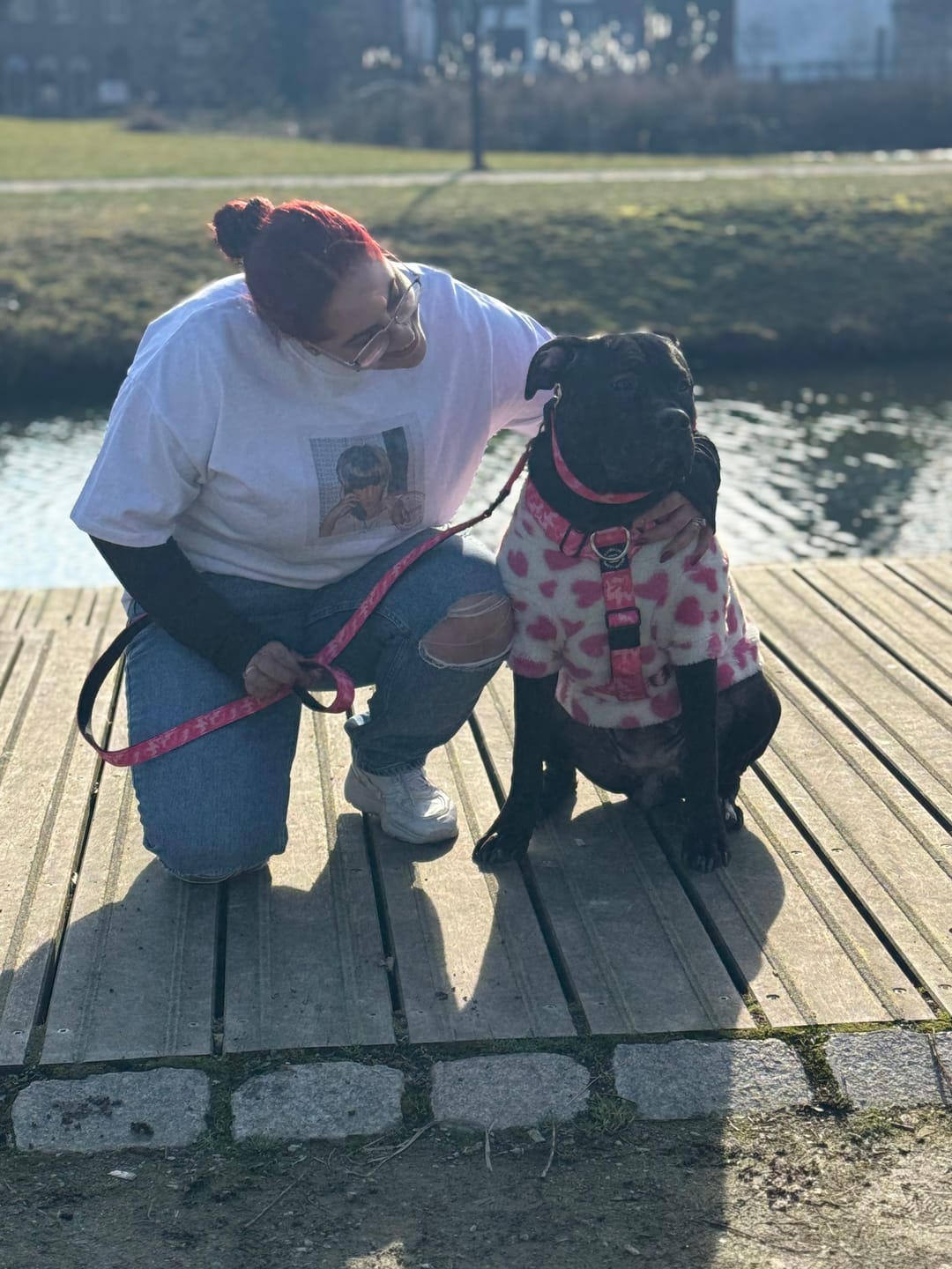 Customer photo review of Training Anti Pull TRI-Harness® | M-XL Breeds - Bubblegum