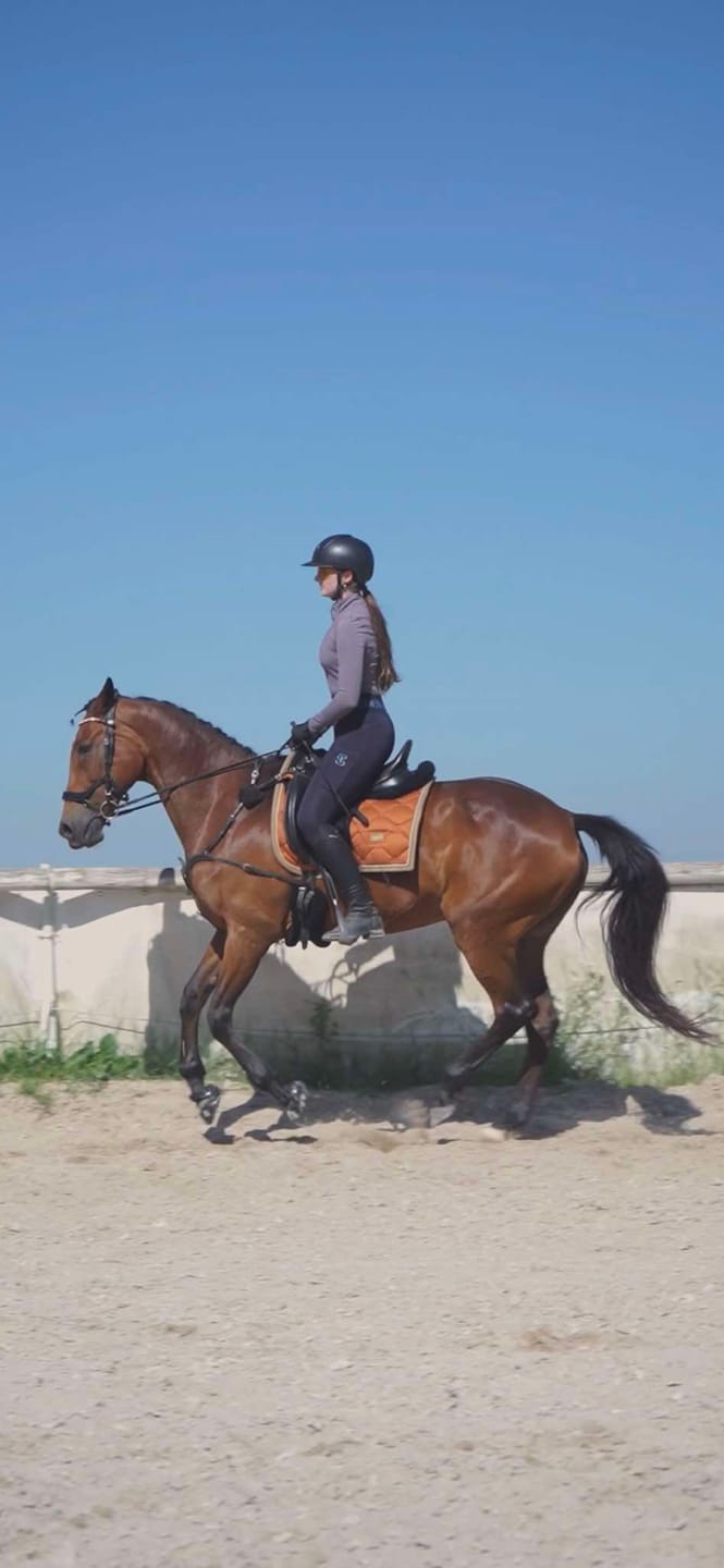 Customer photo review of Renegade® Viper Shield™ Hoof Boots - Black Knight