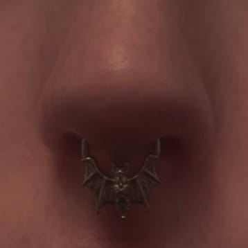 Customer photo review of BAT SEPTUM