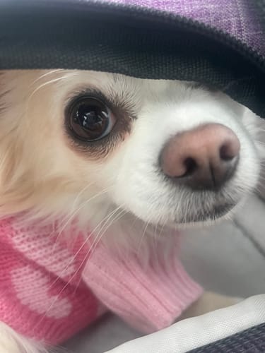Customer photo review of knitted Hoodie With Heart Pattern