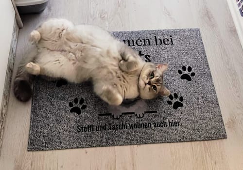 Customer photo review of Willkommen bei - Individuelle Fußmatte