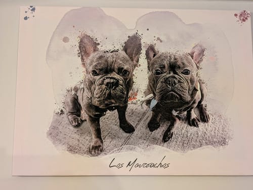 Customer photo review of Πορτραίτο Κατοικίδιου - Νερομπογιά