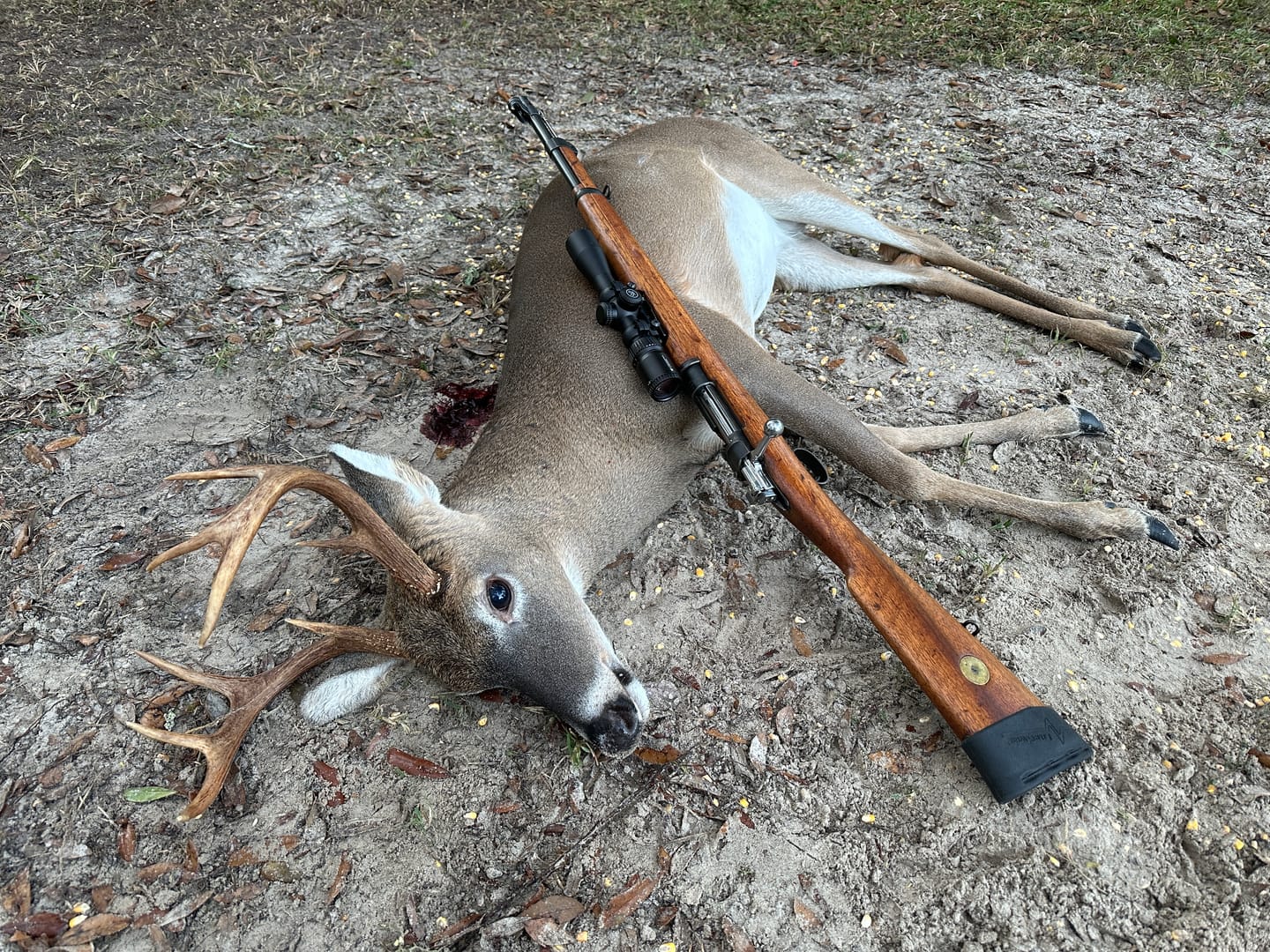 Customer photo review of Swedish Mauser NDT Long Eye Relief Mount for M38 and M96