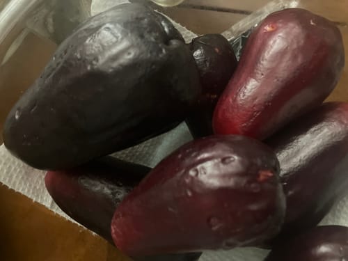 Customer photo review of Otaheite Apple (Jamaican Apple/Malay Apple) ***PRE ORDER***