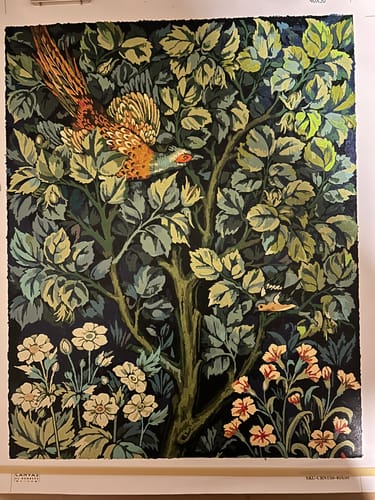Customer photo review of Cock Pheasant (1916) - Paint by Numbers