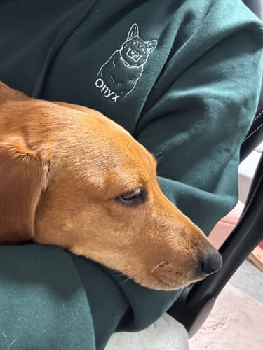 Customer photo review of CUSTOM PET HOODIE
