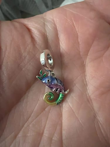 Customer photo review of 925 Sterling Silver Chameleon Charm