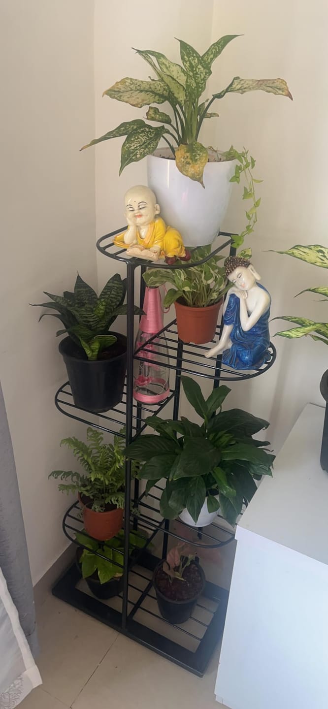 Customer photo review of Plant Stand Metal 6 Tier 7 Potted Multiple Flower Pot Holder Shelf Indoor Outdoor Planter Display Shelving Unit For Patio Garden Corner