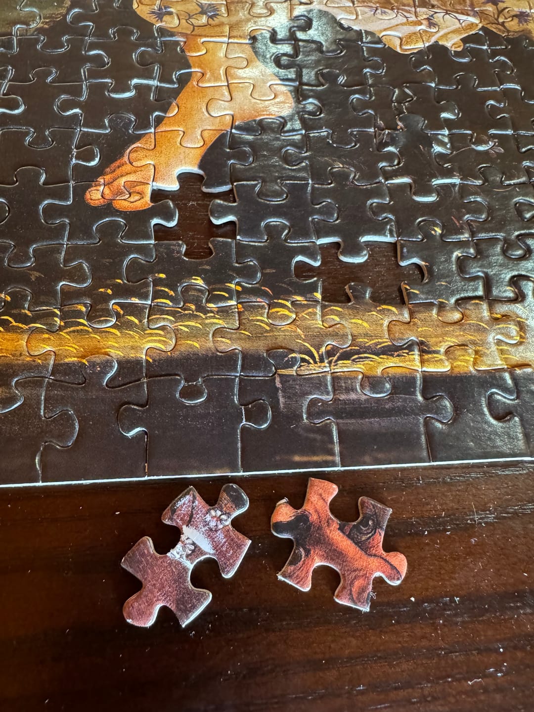Customer photo review of Puzzle 2000 Piezas - The Birth of Venus by Sandro Botticelli