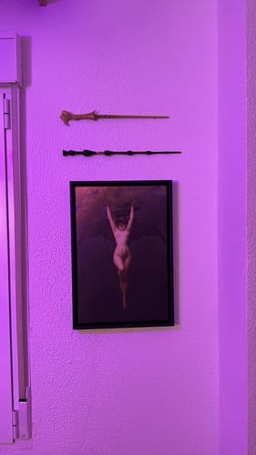 Customer photo review of The Bat Woman | Albert Joseph-Pénot | 1890