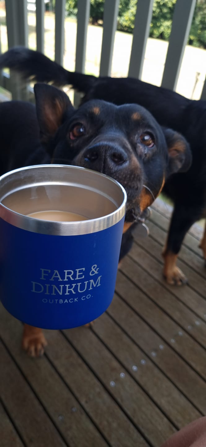 Customer photo review of Fare & Dinkum Navy Camp Mug With Lid