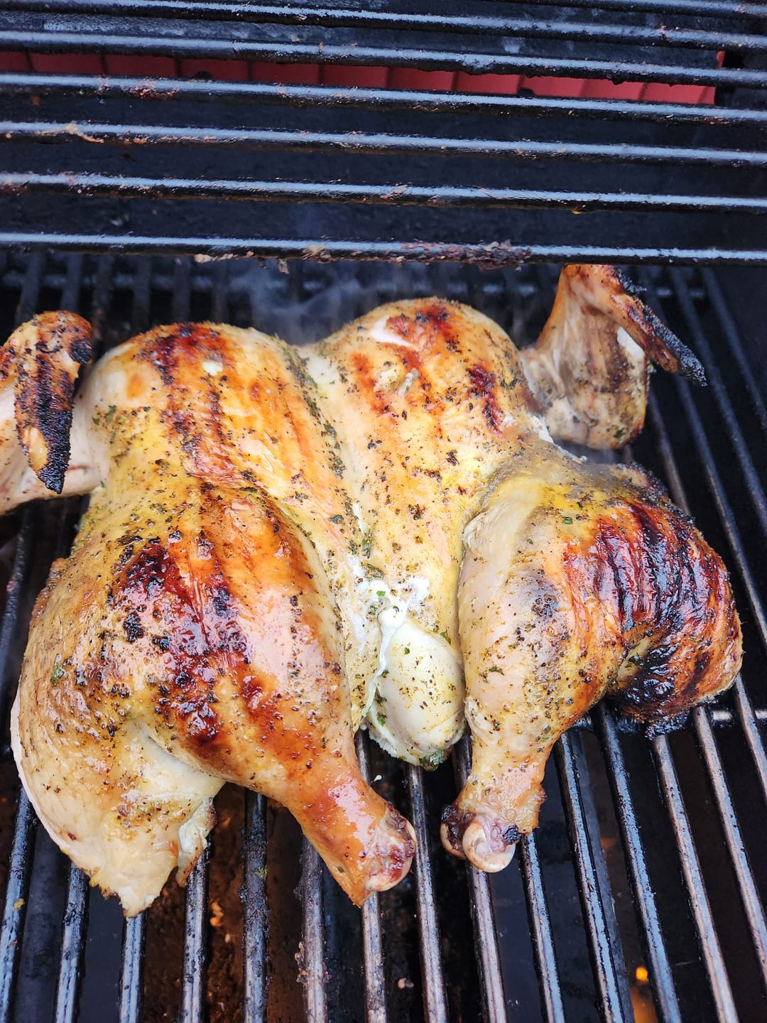 Customer photo review of Whole Chickens (Limited Batch)