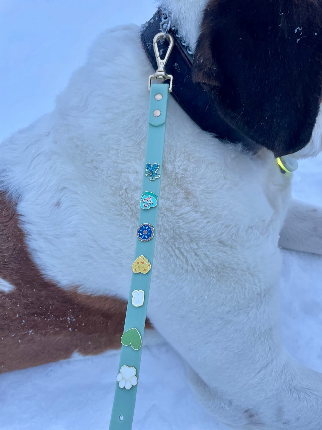 Customer photo review of Moodies 4-in-1 Leash