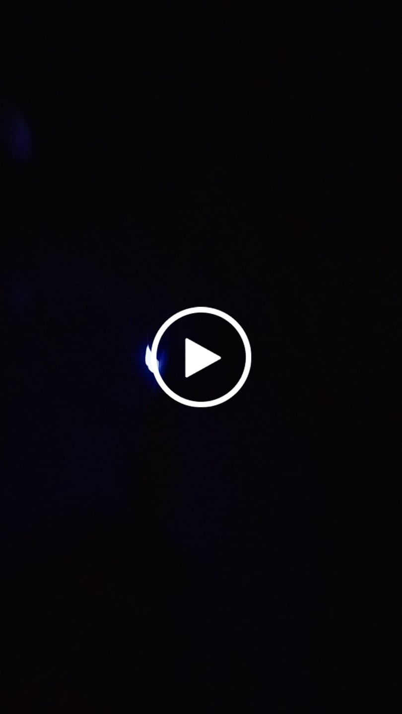 Customer video review of Safety Light - 4-i-1 Lygte Til Hund