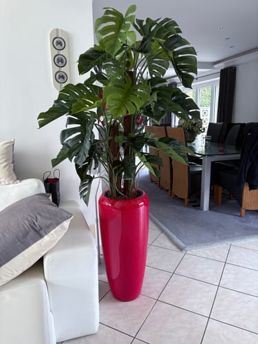 Customer photo review of Monstera Kunstplant 120cm