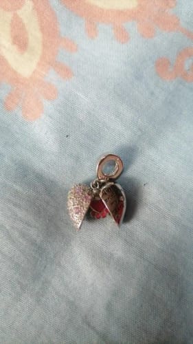 Customer photo review of 925 Sterling Silver Paw Prints on My Heart Charm