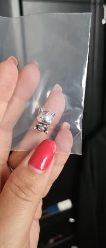 Customer photo review of 925 Sterling Silver Playful Kitten Charm
