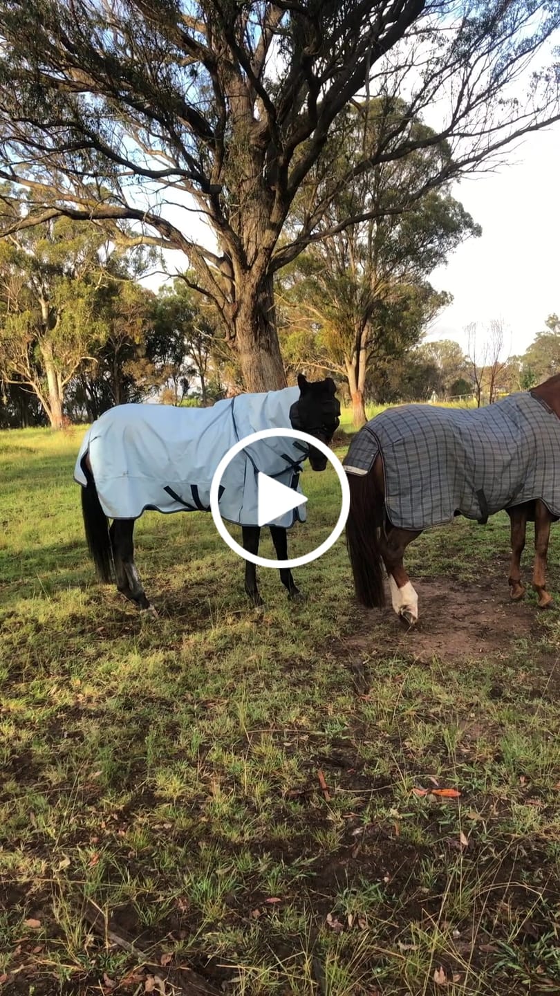 Customer video review of LE Boxter Turnout 0g