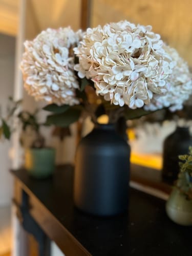 Customer photo review of Grande Hortensia (5 tiges) - Crème