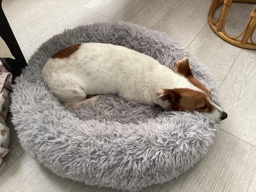 undefined review of Extra Puha Kutya és Macska Fánk Alakú Mosható Plüss Kisállat Fekhely image 1 out of 1