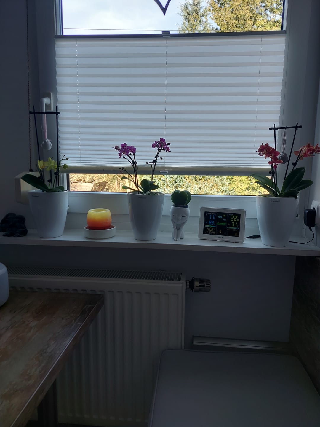 Customer photo review of Table Dance Farbmix im 3er Set mit 2 Rispen