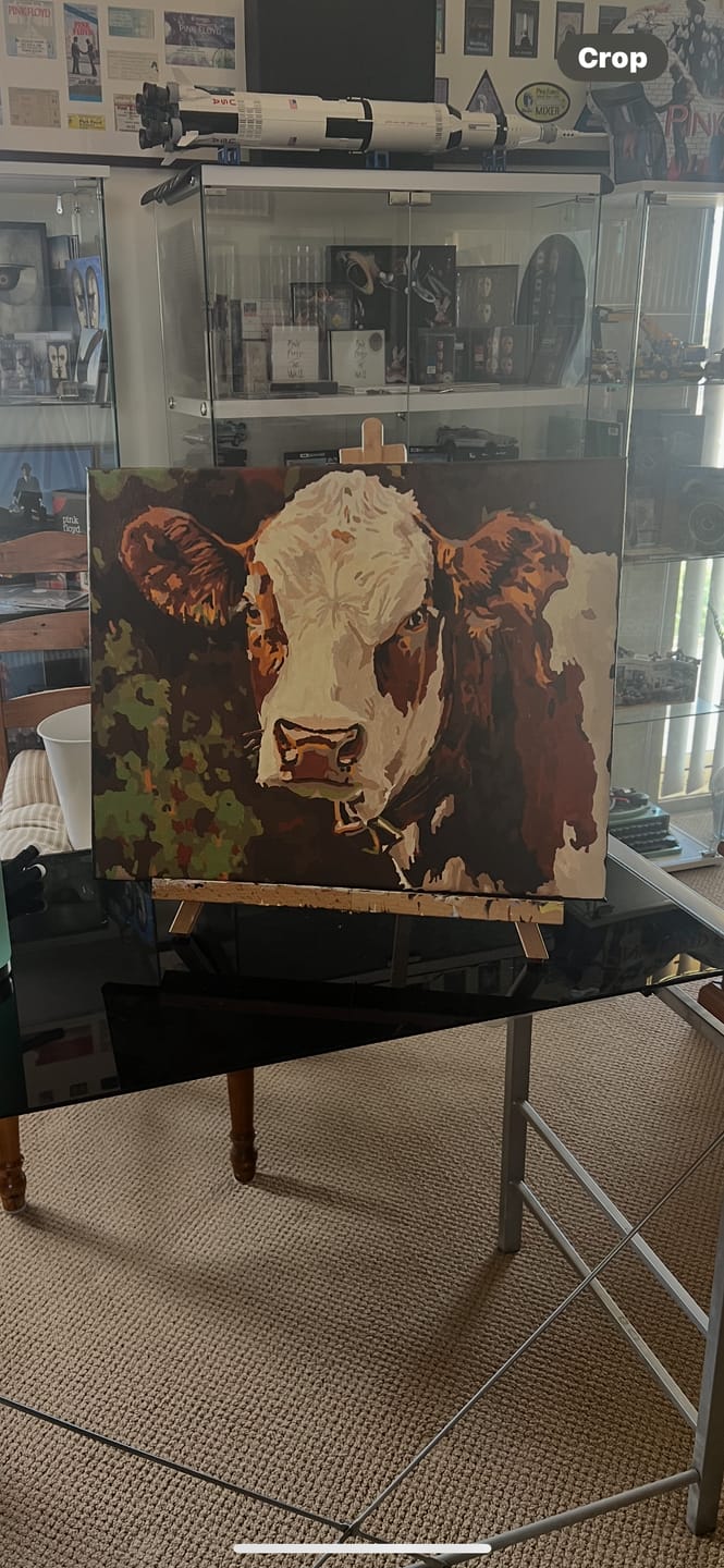 Customer photo review of Cattle Portrait