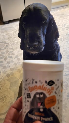 Customer photo review of Pumpkin Powder Supplement for Dogs (200g)